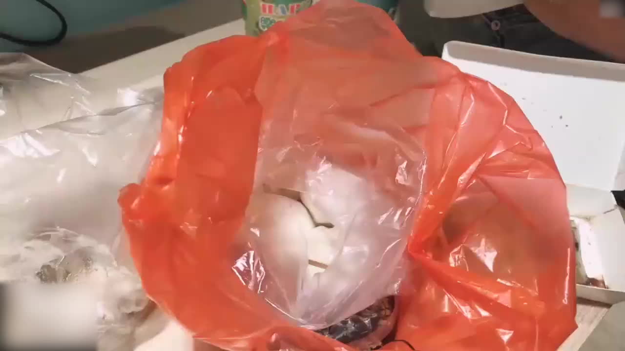 台湾SWAG_ladyyuan_大尺度露臉全裸_報答同事感謝炮