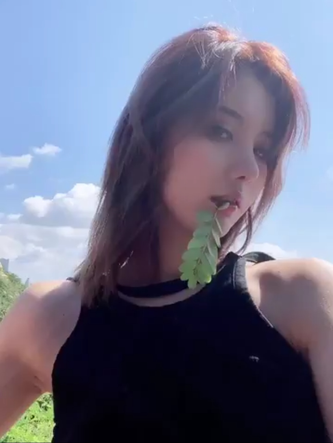 我老婆阿朱饿到要吃草