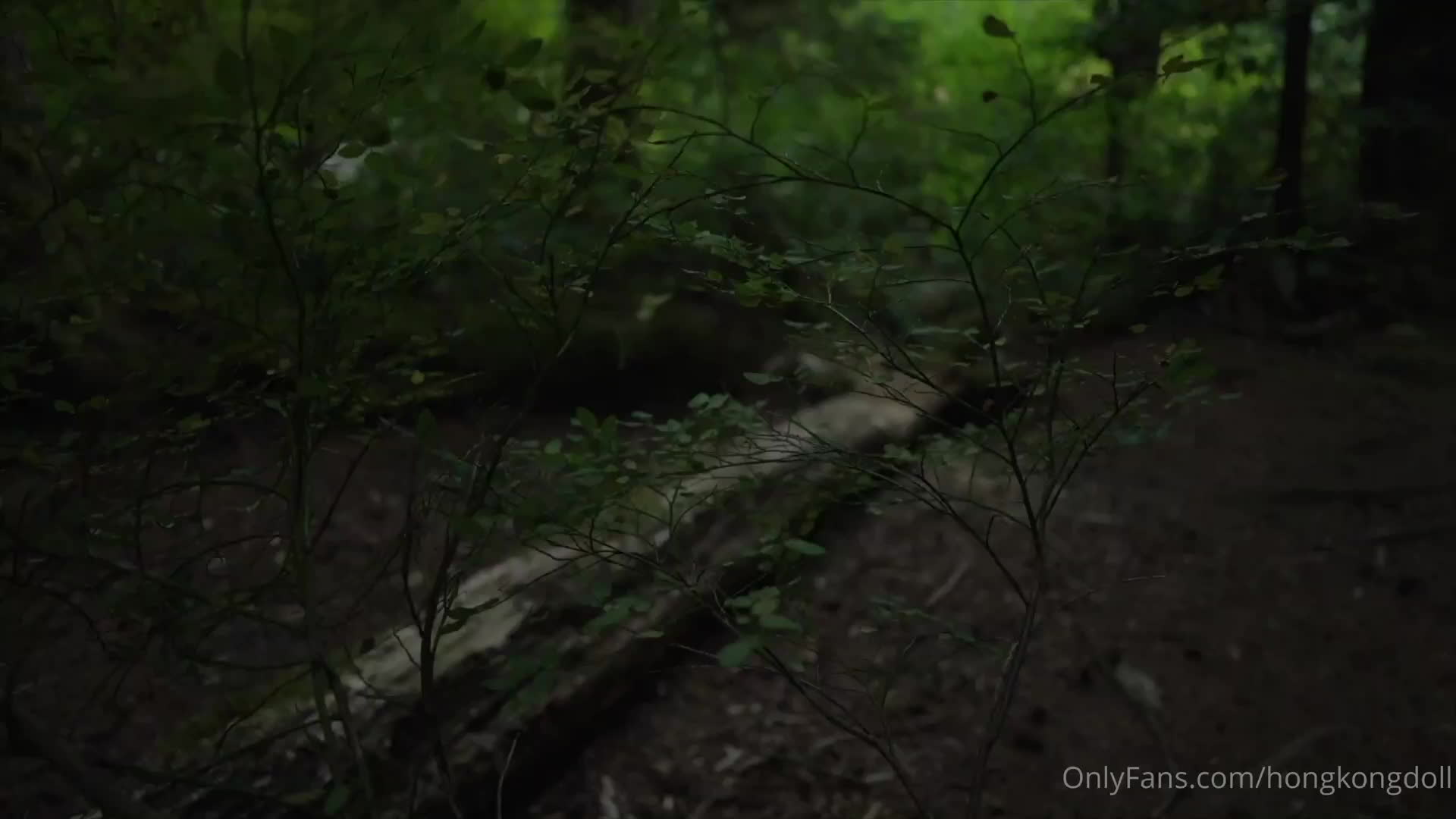 森林秘境 第一集 玩偶姐姐