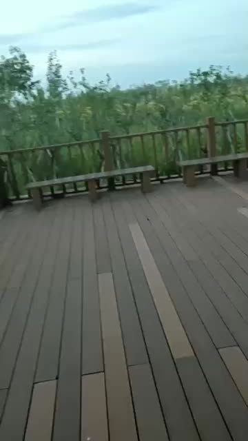 新交的珠宝店柜台大奶女友，户外河边尽情口交