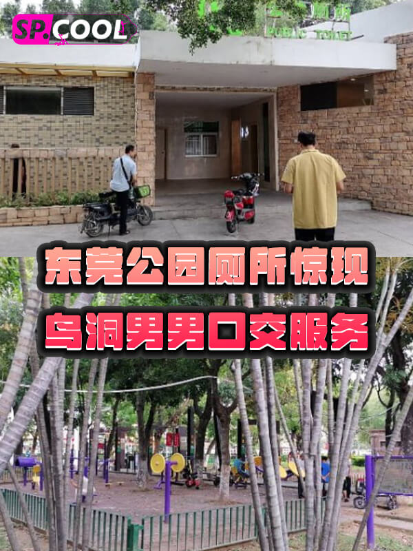 广东东莞 大岭山森林公园 园内厕所惊现鸟洞 男男开启口交服务