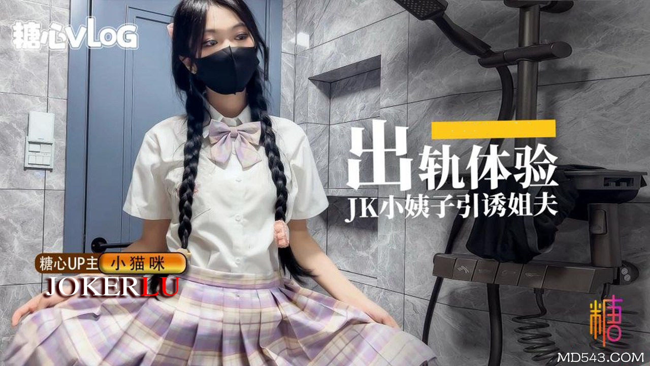糖心Vlog 【糖心新秀】小猫咪-出轨体验之JK小姨子引诱巨屌姐夫在线播放