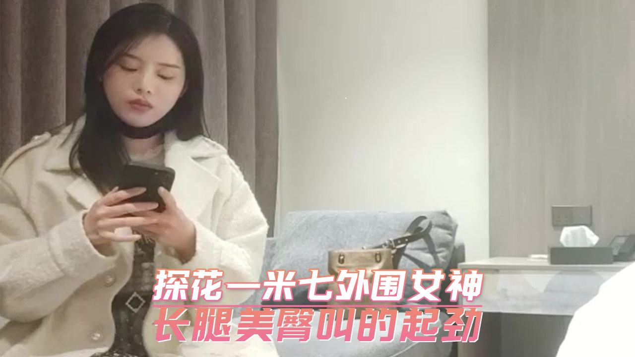 探花一米七外围女神 长腿美臀叫的起劲 第一部